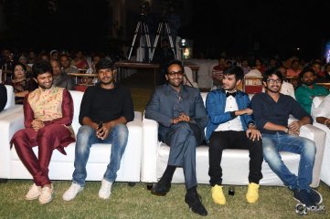 Ekkadiki Pothavu Chinnavada Movie Audio Success Meet